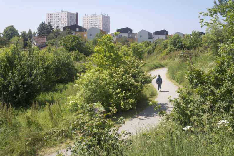 La Coulée verte. De Fontenay-aux-Roses à Antony. Archipel francilien, CAUE-IDF, 2023 © Martin Argyroglo.