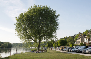 La Frette-sur-Seine, quai de Seine.