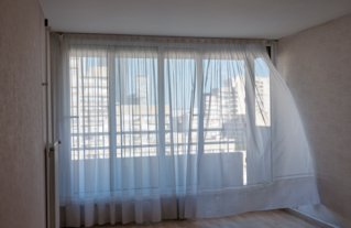 Photographie : Myr Muratet. Nanterre Parc Nord, 2025 | CAUE92.