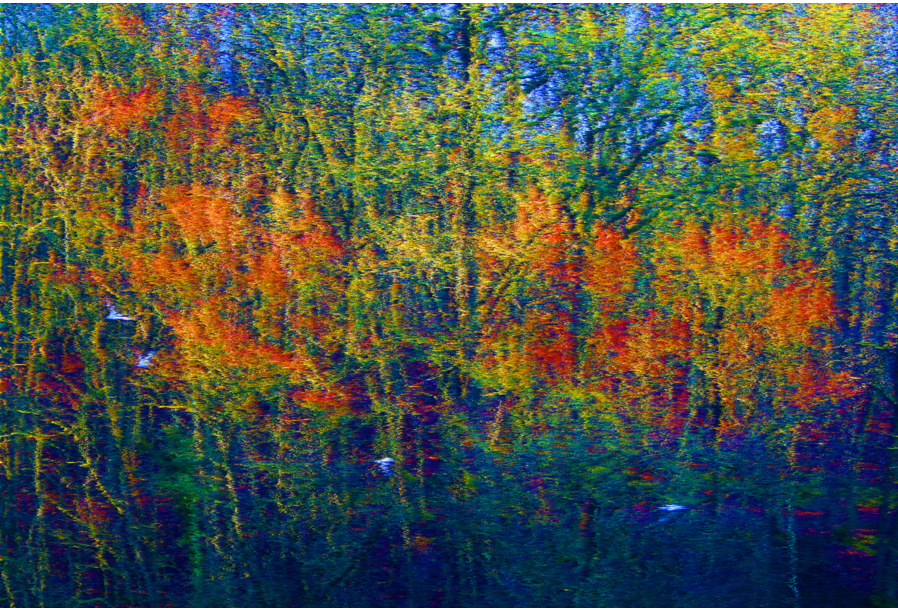 Photographie : Achille Bernard.